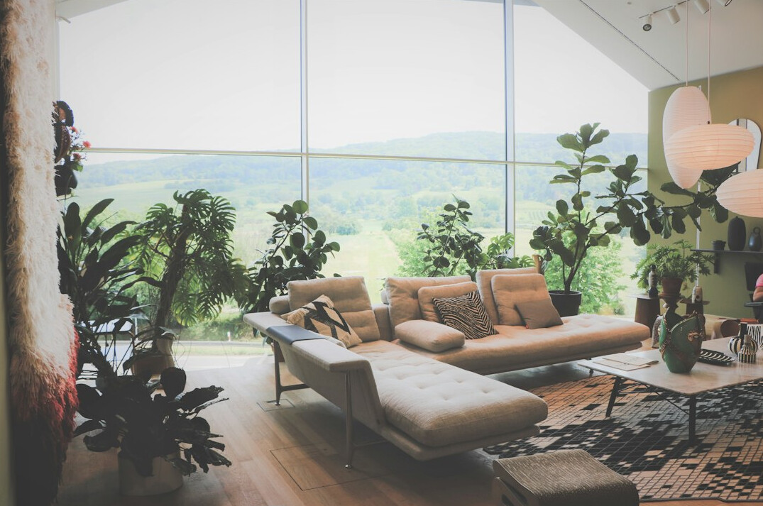 organized living room with plants